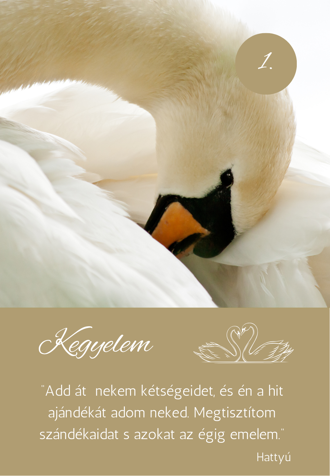 a madarak üzenetei kártya pakli - hattyú üzenete