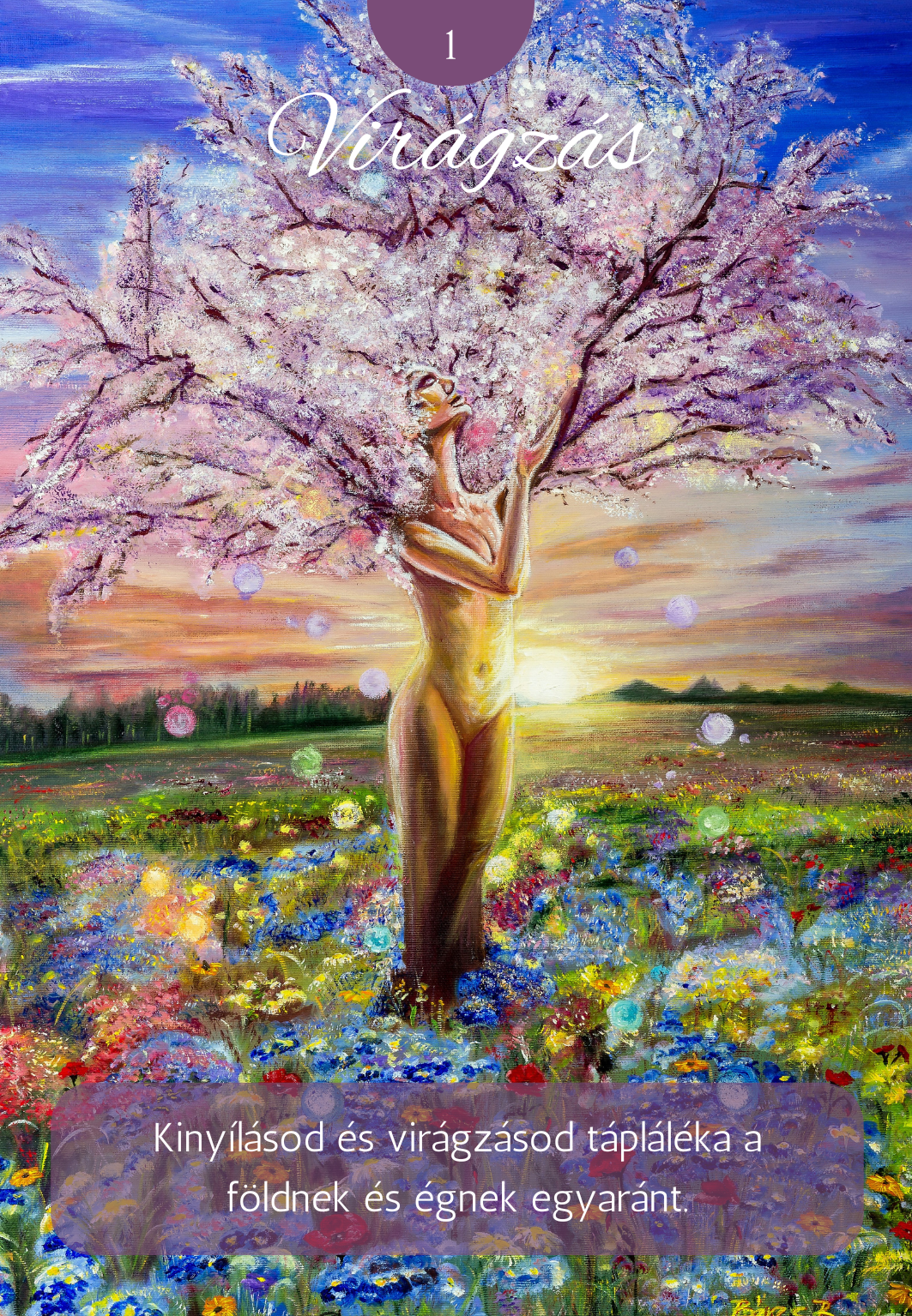 a fény útja kártyapakli - virágzás lap