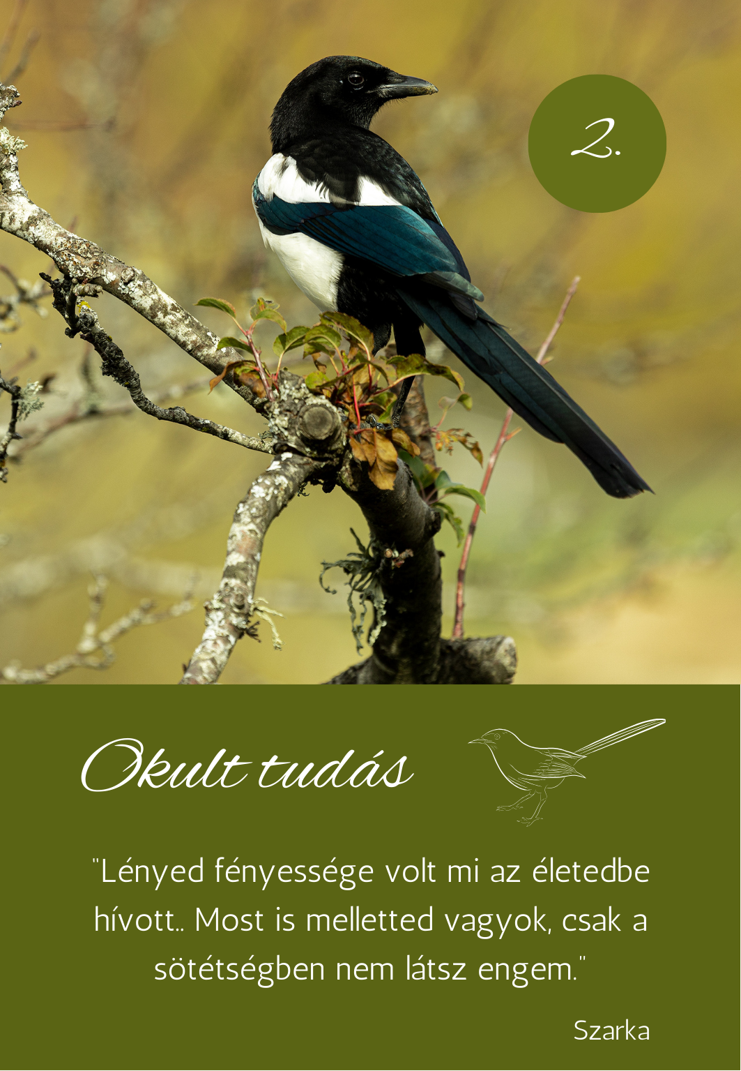 a madarak üzenetei kártya pakli - szarka üzenete