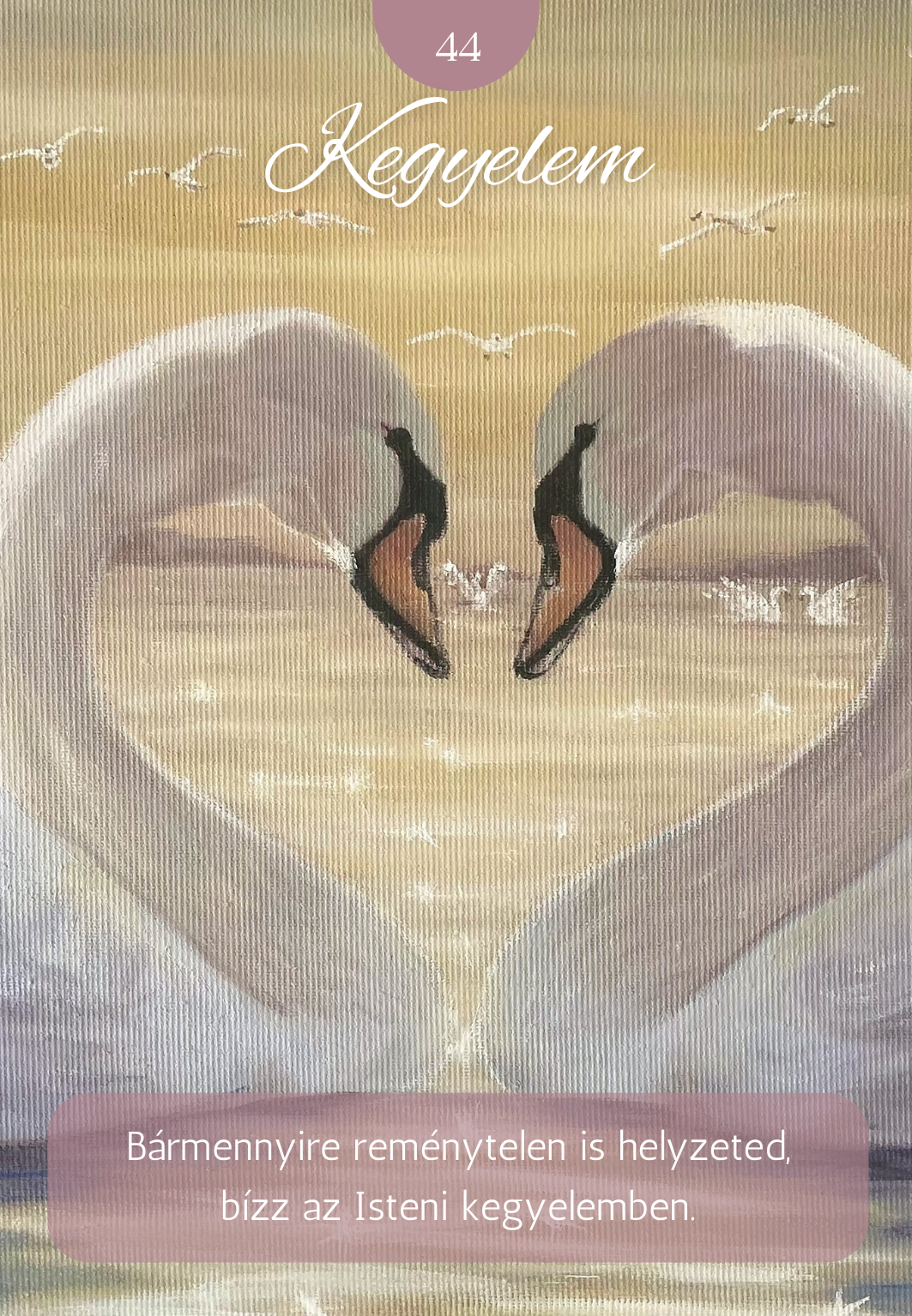 a fény útja kártyapakli - kegyelem lap