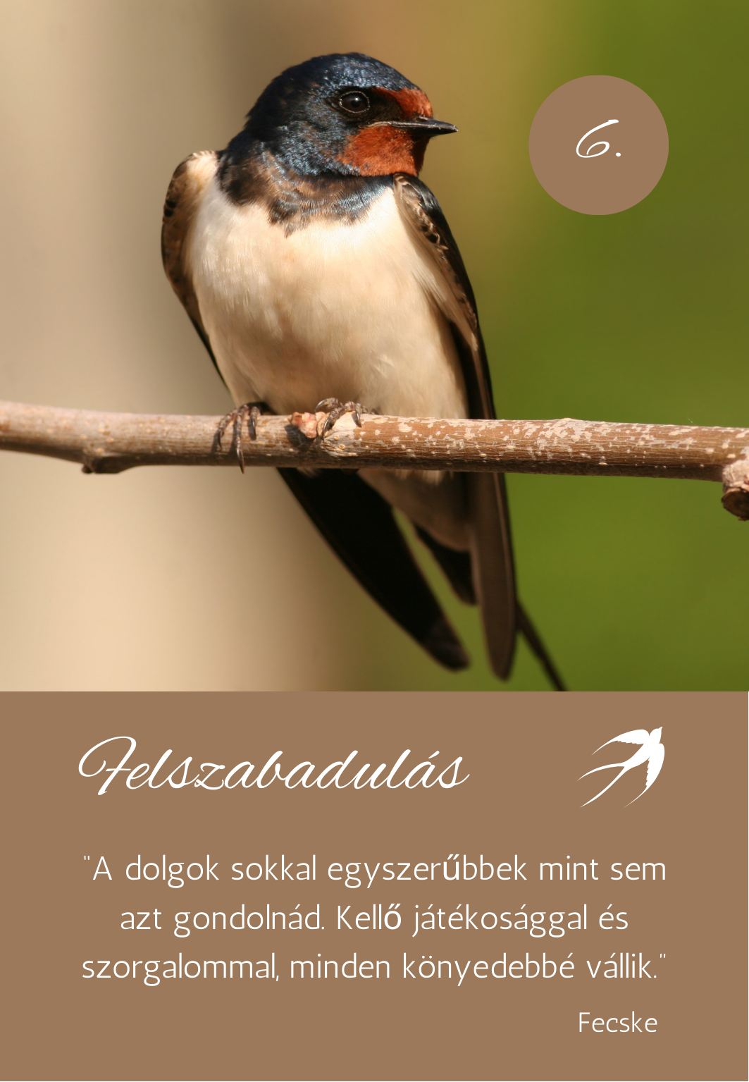 a madarak üzenetei kártya pakli - fecske üzenete