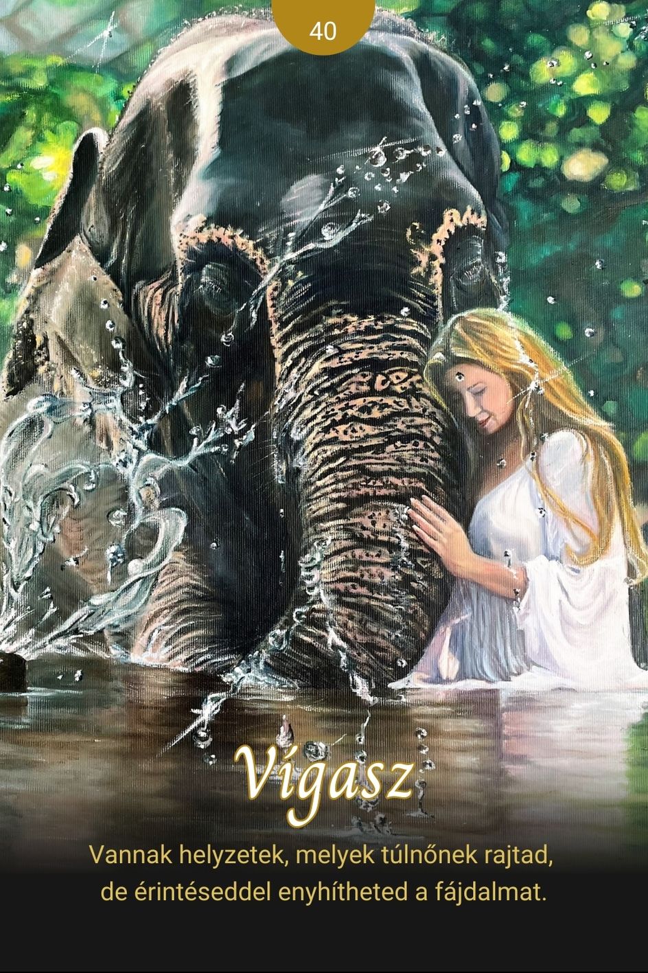40 kártyalap